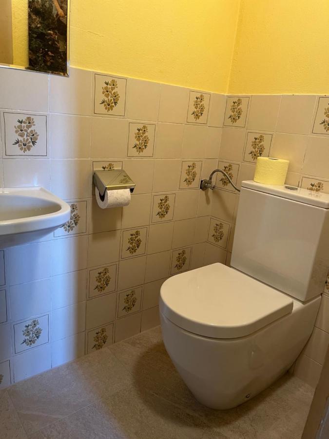 Bauernhof Lehengut Villa Pfarrwerfen Ngoại thất bức ảnh